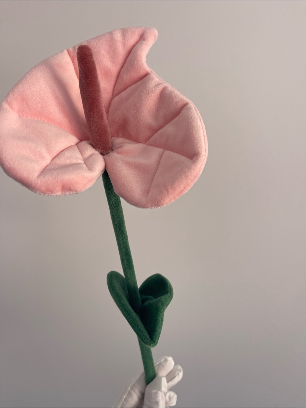 CJ Hendry Flower Shop 1 Limited Edition pink Anthurium stem